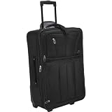 Skyway Sigma 2 29" Vertical Expandable Overseas Case
