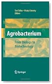 Agrobacterium