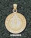 Utah State Univ Seal Charm/Pendant -14K/10K, Stainless Steel or Gold Plated