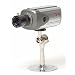 Q-See QPSCDCA Professional Indoor CCD Camera w/Audio (Color)