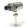 Q-See QPSCDCA Professional Indoor CCD Camera w/Audio (Color)