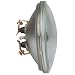 PAR36 Lamp, Clear