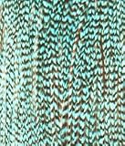 Soft Turquoise Grizzly Feather Hair Extension
