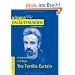K�nigs Erl�uterungen und Materialien: Interpretation zu Boyle. The Tortilla Curtain: Lekt�re- und Interpretationshilfe