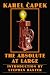 The Absolute at Large (Bison Frontiers of Imagination)