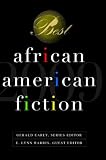 Best African American Fiction: 2009