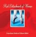 Red Detachment Of Women 2