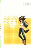 Negima: Magister Negi Magi 33