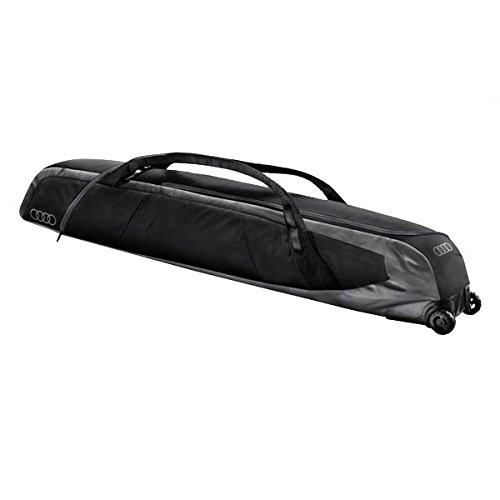 ski luggage sale