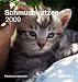 Schmusekatzen 2009. Postkartenkalender