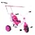 Universal Milan Trike with Harness