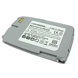 Lenmar CLSG118 Cell Phone Li Ion Battery Replaces Samsung BST5118SA and ST5118SAB