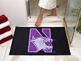 Northwestern Wildcats 34x44.5 All-Star Floor Mat (Rug)