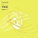 Hybrid Presents Y4K