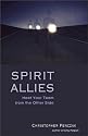 Spirit Allies: Meet Your Team from the Other Side