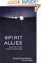 Spirit Allies:  Meet Your Team from the Other Side