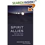Spirit Allies:  Meet Your Team from the Other Side