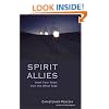 Spirit Allies:  Meet Your Team from the Other Side