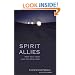 Spirit Allies:  Meet Your Team from the Other Side