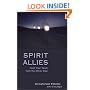 Spirit Allies: Meet Your Team from the Other Side