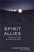 Spirit Allies:  Meet Your Team from the Other Side