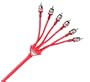 Monster MPC I306 6C-5M Extra Low Noise 6-Channel Car Stereo RCA Cables (5 meters)