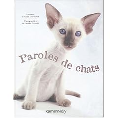 Paroles de chats