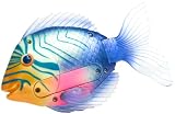 Rainbow Reef Mini Trigger Fish