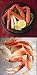 King & Dungeness Crab Combo