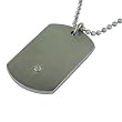 Stainless Steel Dog Tag Pendant with Diamond-Accent, 22''