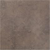 Baru 8 x 12 Ceramic Tile in Mission Brown