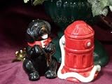 Ceramic Dog & Hydrant Salt & Pepper