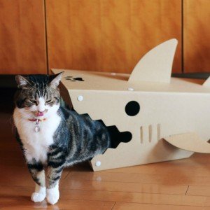 ねこ専用さめ型段ボールハウス