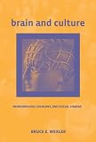  : Brain and Culture: Neurobiology, Ideology, and Social Change (Bradford Books)