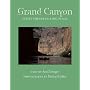 Grand Canyon: Little Things in a Big Place (Desert Places)