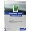 Managing SAP ERP 6.0 Upgrade Projects