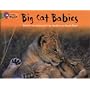 Big Cat Babies: Band 05/Green (Collins Big Cat)