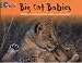 Big Cat Babies: Band 05/Green (Collins Big Cat) Big Cat Babies: Band 05/Green (Collins Big Cat)