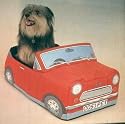 Cosi Car Novelty Pet Bed