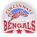 Jewelry : Glossy NFL Team Pin - Cincinnati Bengals