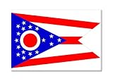 Ohio State Flag Fridge Magnet