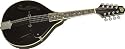Rogue RM-100A A-Style Mandolin, Black