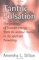 Tantric Pulsation