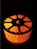 Holiday Lighting - Rope Lights