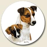 Jack Russell Terrier Auto Coaster, Single Coaster for Your Car