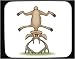 Decorated Mouse Pad with buck, down, trick, deer, upside, animal, balance