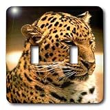 Wild animals - Leopard - Light Switch Covers - double toggle switch
