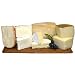 image and picture of International Cheese Board - 2