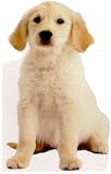 Jumbo Animal Shaped Board Book: Puppy