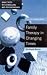 Family Therapy in Changing Times (Basic Texts in Counselling & Psychotherapy)